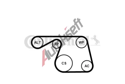 CONTITECH Sada drkovch klnovch emen CTT 6PK1310K1, 6PK1310K1
