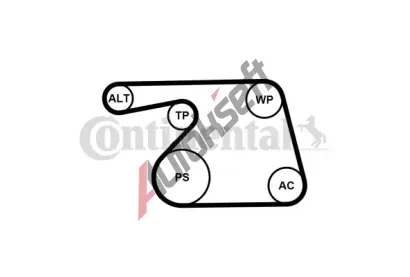 CONTITECH Vodn pumpa klnovho drkovho emenu CTT 6PK1318WP1, 6PK1318WP1