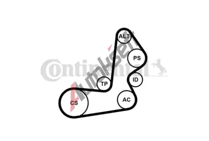 CONTITECH Sada drkovch klnovch emen CTT 6PK1515K1, 6PK1515K1