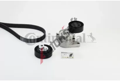 CONTITECH Sada drkovch klnovch emen CTT 6PK1538K1, 6PK1538K1
