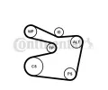 CONTITECH Sada drkovch klnovch emen CTT 6PK1555K2, 6PK1555K2
