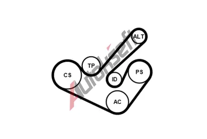 CONTITECH Sada drkovch klnovch emen CTT 6PK1555K9, 6PK1555K9