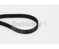 CONTITECH ozuben klnov emen ‐ CTT 6PK1605