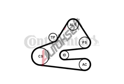 CONTITECH Sada drkovch klnovch emen CTT 6PK1613K1, 6PK1613K1