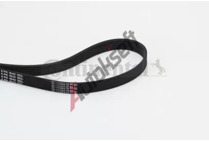 CONTITECH ozuben klnov emen CTT 6PK1642, 6PK1642