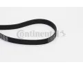 CONTITECH ozuben klnov emen ‐ CTT 6PK1660