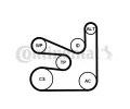 CONTITECH Sada drkovch klnovch emen CTT 6PK1660K5, 6PK1660K5