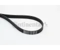 CONTITECH ozuben klnov emen ‐ CTT 6PK1698