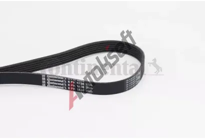 CONTITECH Ozuben klnov emen CTT 6PK1836, 6PK1836