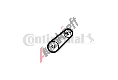 CONTITECH Ozuben klnov emen CTT 6PK701 ELAST, 6PK701 ELAST