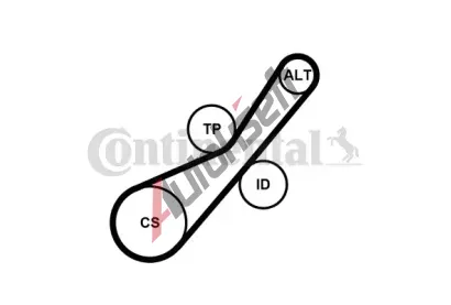 CONTITECH Sada drkovch klnovch emen CTT 6PK800K1, 6PK800K1