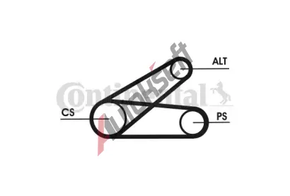 CONTITECH Sada ebrovanch klnovch emen CTT 6PK873 ELAST T1, 6PK873 ELAST T1