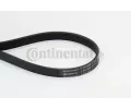 CONTITECH ozuben klnov emen ‐ CTT 6PK948