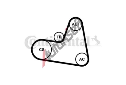 CONTITECH Sada drkovch klnovch emen CTT 6PK962K1, 6PK962K1
