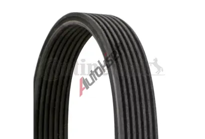 CONTITECH ozuben� kl�nov� �emen CTT 7DPK1697, 7DPK1697