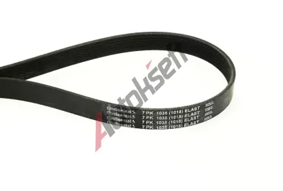 CONTITECH Ozuben� kl�nov� �emen CTT 7PK1038 ELAST, 7PK1038 ELAST