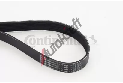 CONTITECH Ozuben klnov emen CTT 7PK1165, 7PK1165