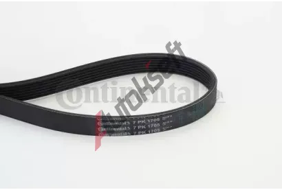 CONTITECH ozuben klnov emen CTT 7PK1705, 7PK1705