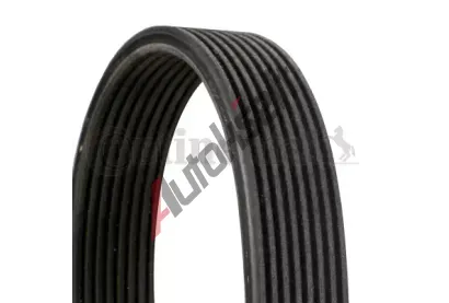 CONTITECH ozuben� kl�nov� �emen CTT 8DPK1827, 8DPK1827