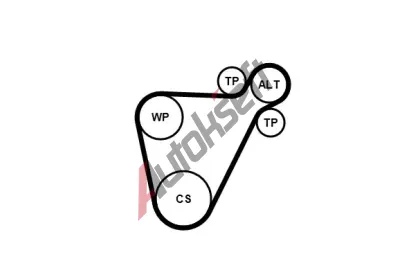 CONTITECH Sada dr�kov�ch kl�nov�ch �emen� CTT 8PK954 EXTRA K1, 8PK954 EXTRA K1