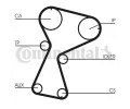 CONTITECH Ozuben - sada rozvodovho emene CTT CT1026K1, CT1026K1