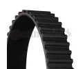 CONTITECH Ozuben emen CTT CT1029, CT1029