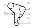 CONTITECH Ozuben - sada rozvodovho emene CTT CT1044K2, CT1044K2