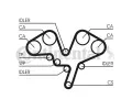 CONTITECH Ozuben emen CTT CT1052, CT1052
