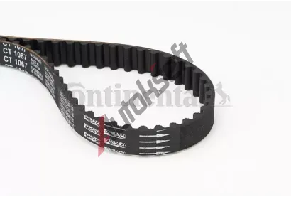 CONTITECH Ozuben emen CTT CT1067, CT1067