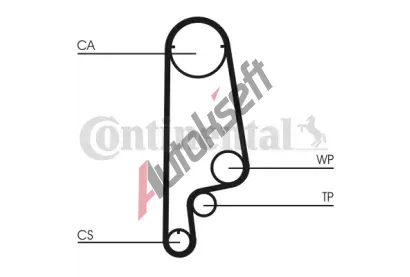 CONTITECH Ozuben emen CTT CT1070, CT1070