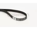 CONTITECH Ozuben emen ‐ CTT CT1077