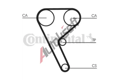 CONTITECH Ozuben emen CTT CT1157, CT1157