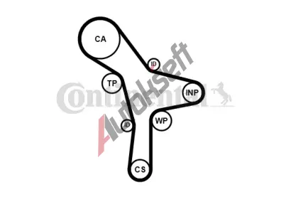 CONTITECH Ozuben emen CTT CT1176, CT1176