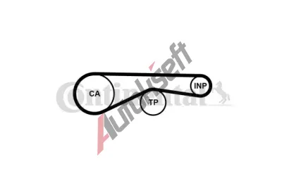 CONTITECH Ozuben� �emen CTT CT1194, CT1194