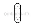 CONTITECH ozuben emen CTT CT1238, CT1238