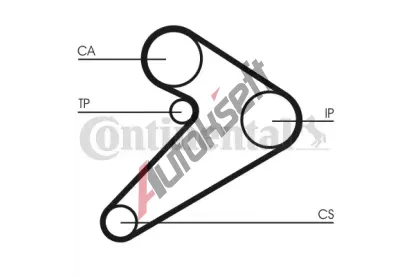 CONTITECH Ozuben - sada rozvodovho emene CTT CT517K1, CT517K1