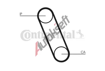 CONTITECH Ozuben� �emen CTT CT561, CT561