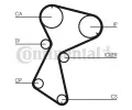 Sada ozuben rozvodovho emenu CONTITECH ‐ CTT CT604K1