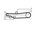 CONTITECH Ozuben emen CTT CT635, CT635