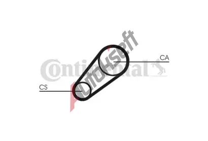 CONTITECH Ozuben emen CTT CT648, CT648