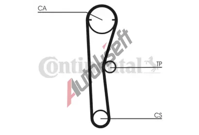 CONTITECH Ozuben� �emen CTT CT669, CT669