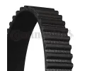 CONTITECH Ozuben� �emen CTT CT779, CT779