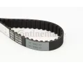 CONTITECH Ozuben emen ‐ CTT CT791