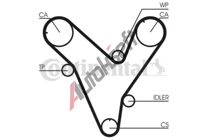CONTITECH Ozuben� �emen CTT CT829, CT829