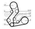 CONTITECH Ozuben emen CTT CT883, CT883