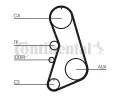 CONTITECH Ozuben - sada rozvodovho emene CTT CT919K4, CT919K4