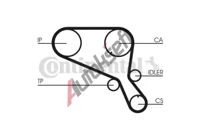 CONTITECH Ozuben� �emen CTT CT952, CT952