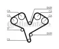 CONTITECH Ozuben emen CTT CT990, CT990