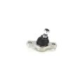 �ep ramene&nbsp;CONTITECH&nbsp;&dash;&nbsp;CTT SUG1117