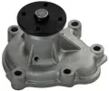 Vodn erpadlo, chlazen motoru DENCKERMANN ‐ DCR A310032P